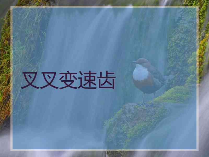 叉叉变速齿