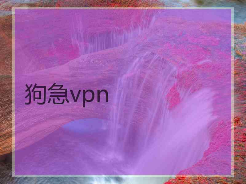 狗急vpn