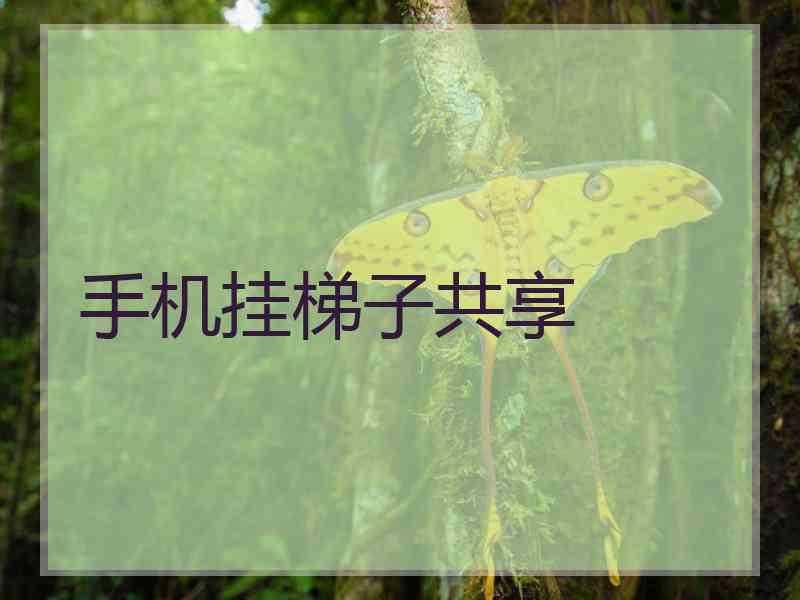 手机挂梯子共享
