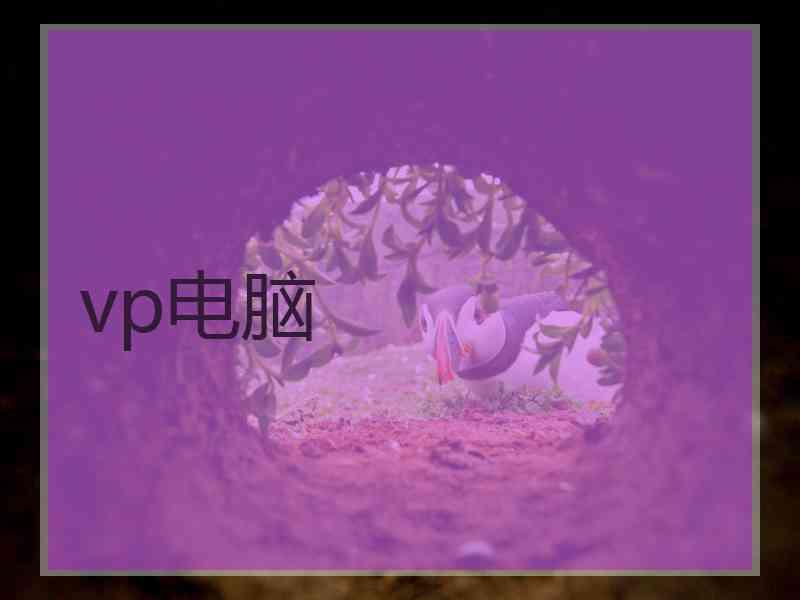 vp电脑