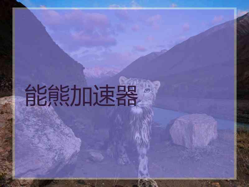 能熊加速器