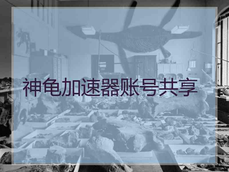 神龟加速器账号共享