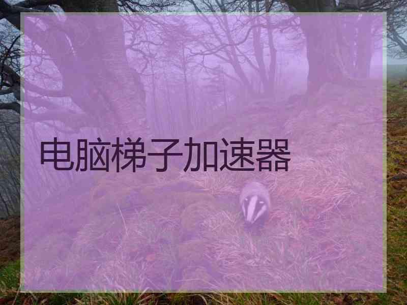 电脑梯子加速器