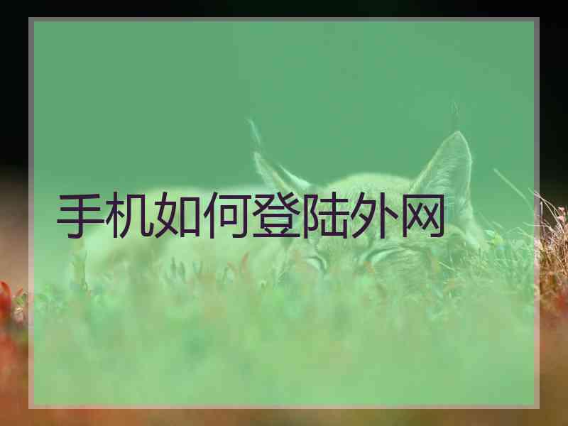手机如何登陆外网