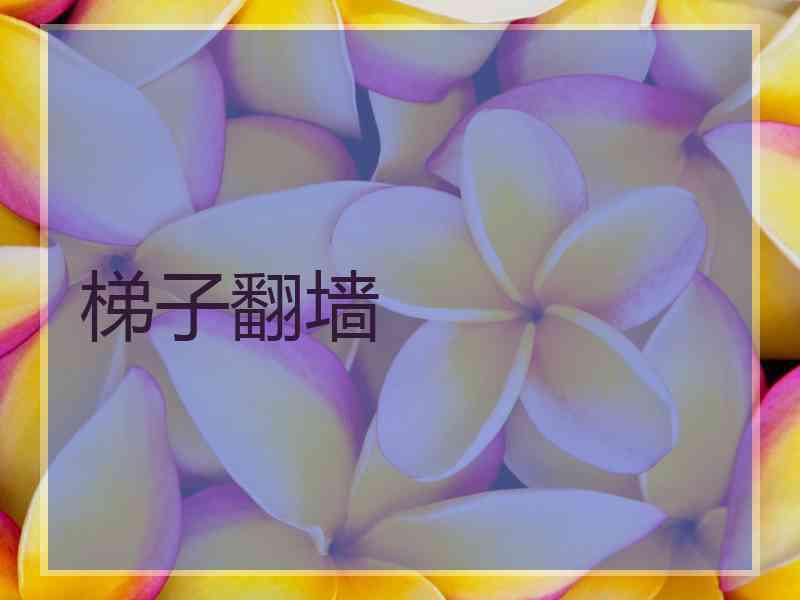 梯子翻墙