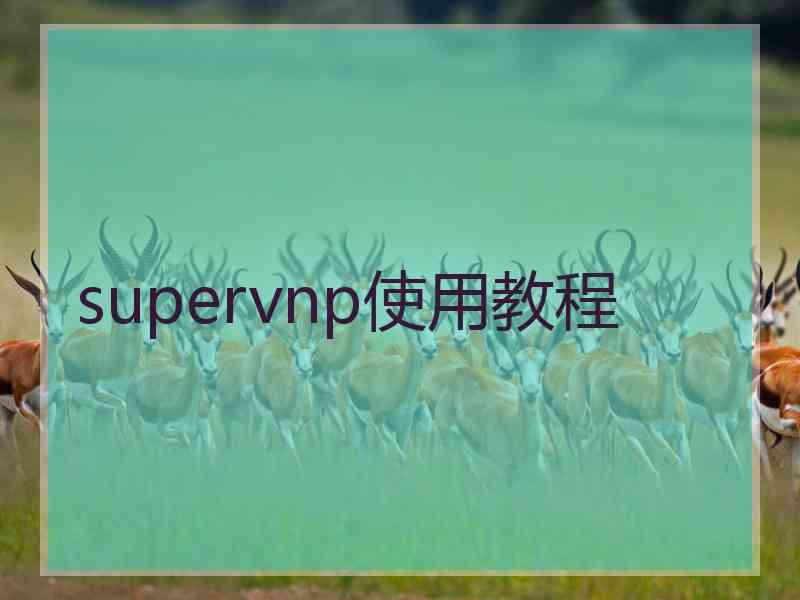 supervnp使用教程