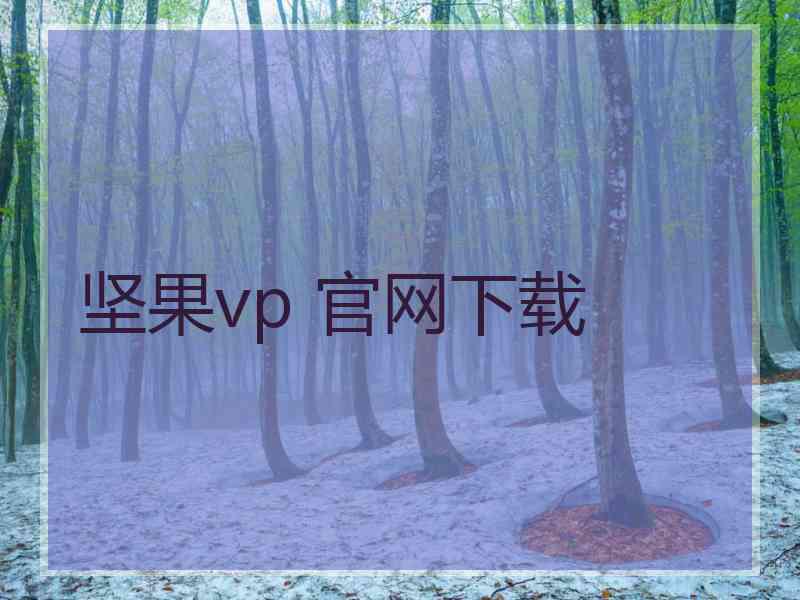 坚果vp 官网下载