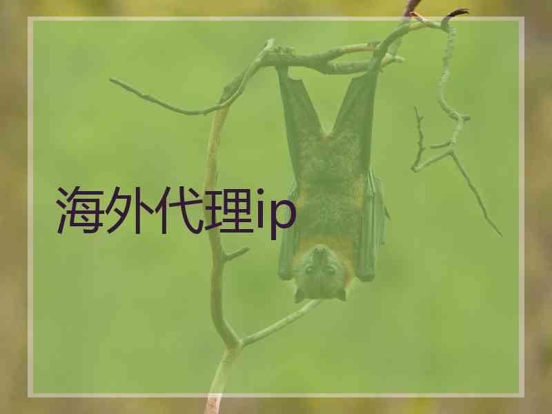 海外代理ip