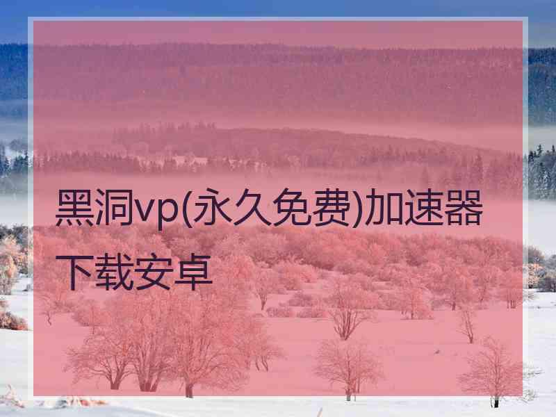 黑洞vp(永久免费)加速器下载安卓