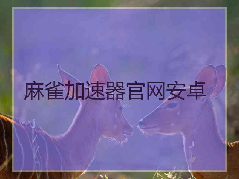 麻雀加速器官网安卓