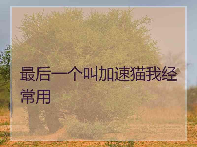 最后一个叫加速猫我经常用
