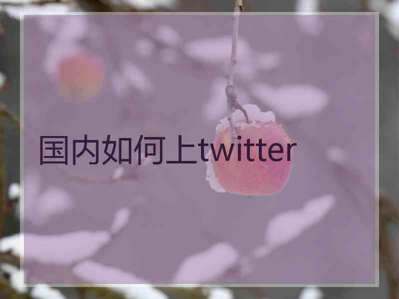 国内如何上twitter