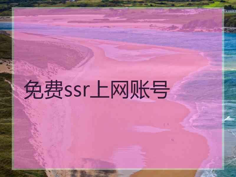 免费ssr上网账号