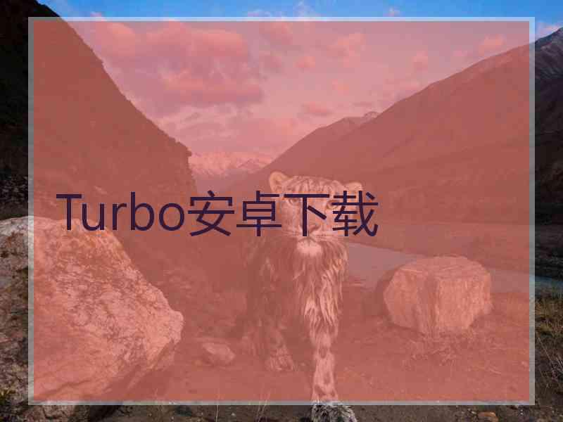 Turbo安卓下载