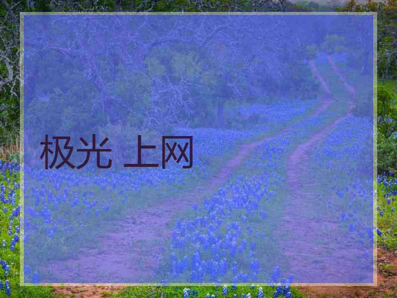 极光 上网