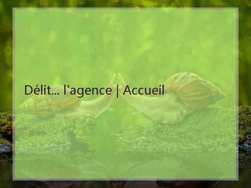 Délit... l'agence | Accueil
