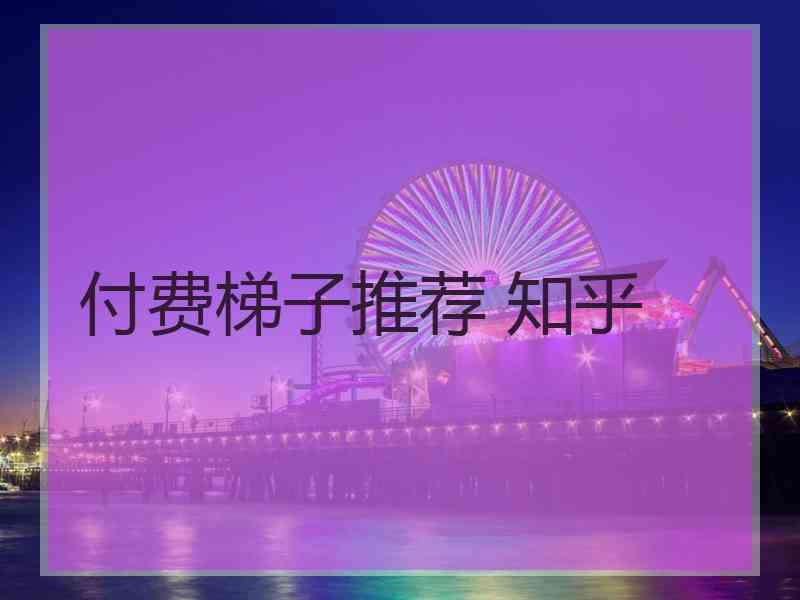 付费梯子推荐 知乎