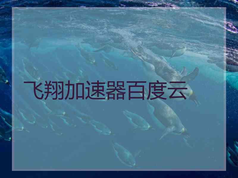 飞翔加速器百度云