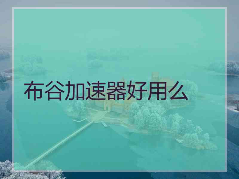 布谷加速器好用么