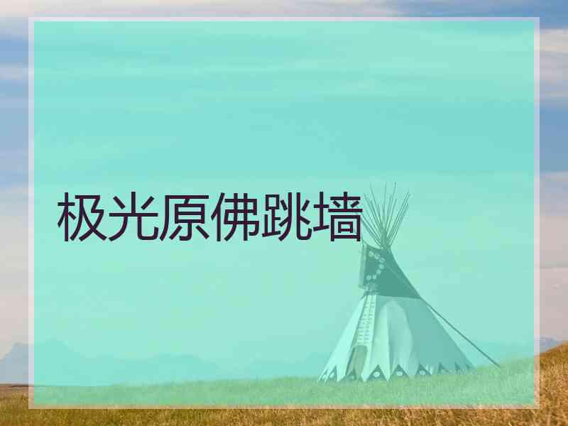 极光原佛跳墙