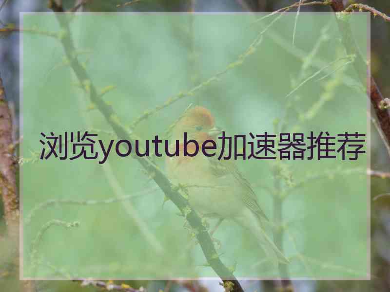 浏览youtube加速器推荐