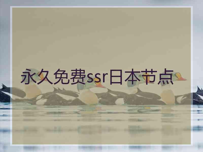 永久免费ssr日本节点