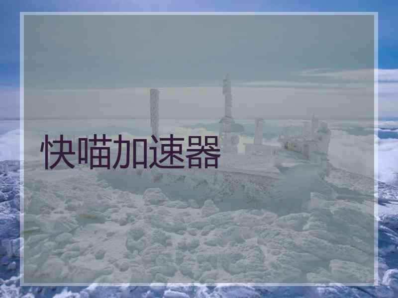 快喵加速器