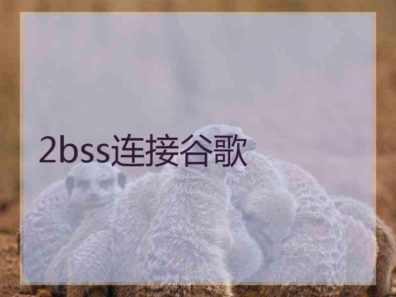 2bss连接谷歌