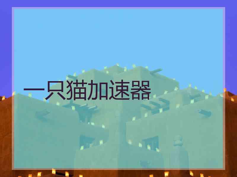 一只猫加速器