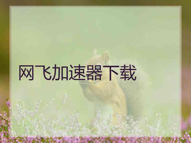 网飞加速器下载