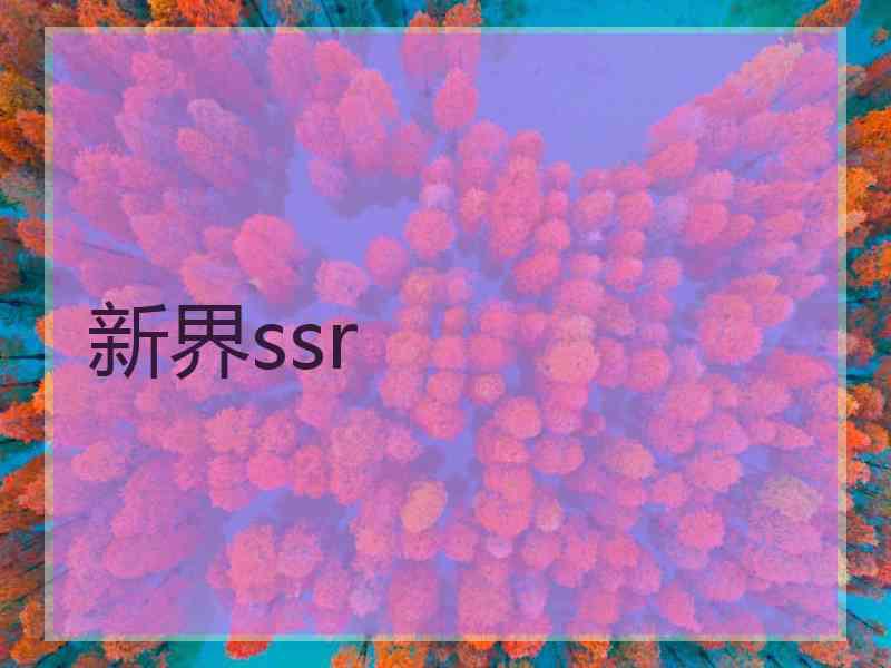 新界ssr