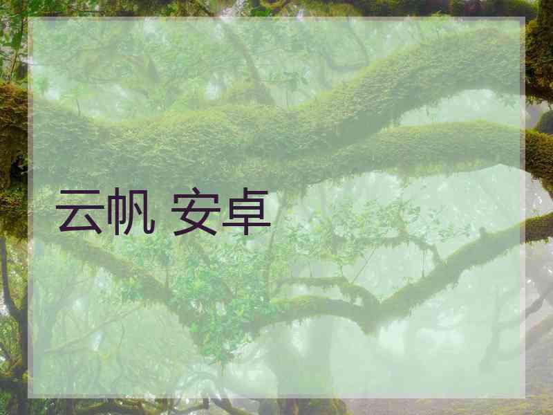 云帆 安卓