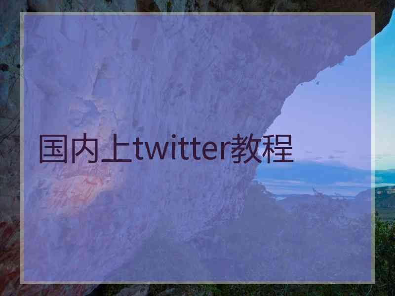 国内上twitter教程