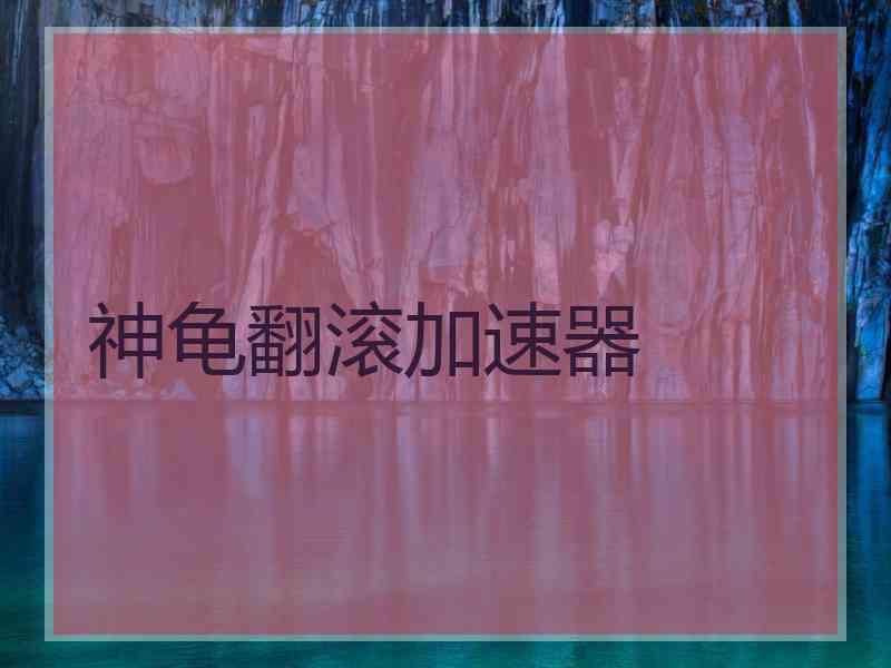神龟翻滚加速器