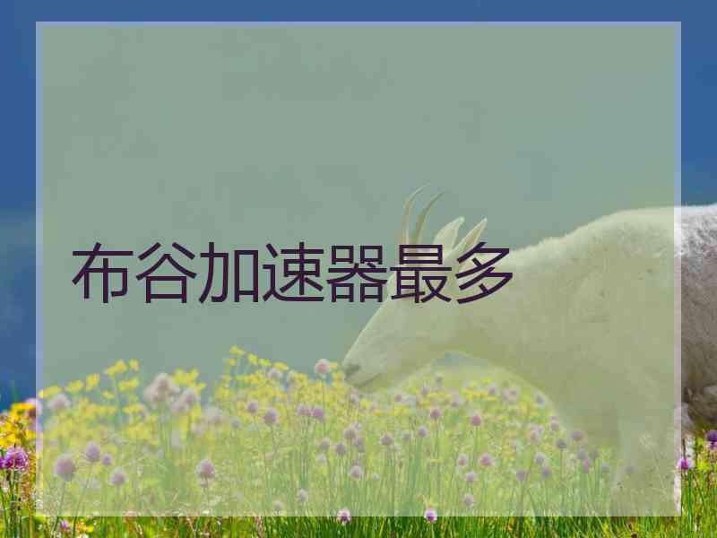 布谷加速器最多