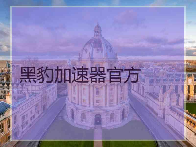 黑豹加速器官方