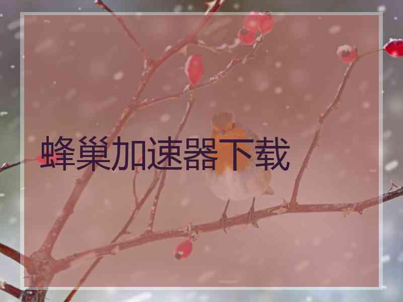 蜂巢加速器下载