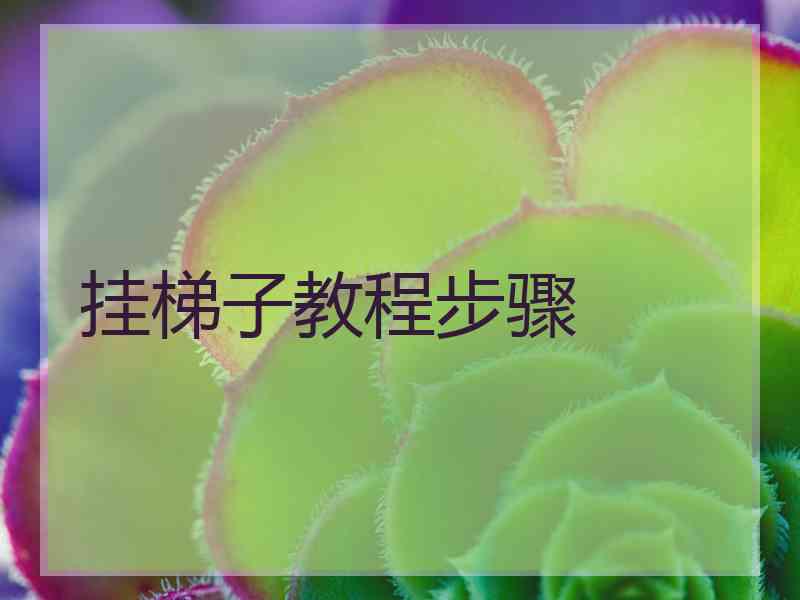 挂梯子教程步骤