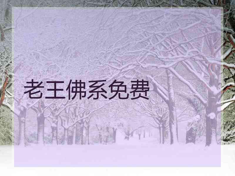 老王佛系免费