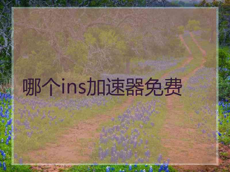 哪个ins加速器免费