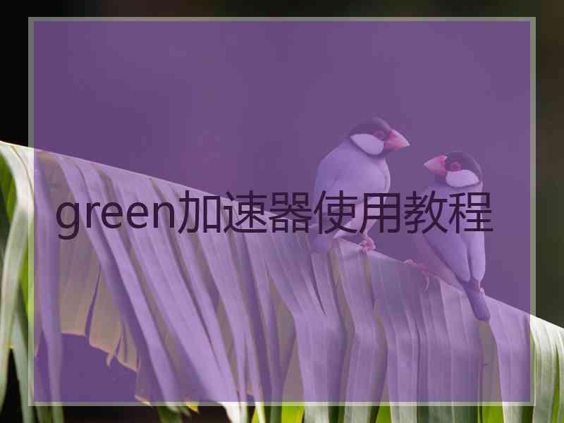 green加速器使用教程