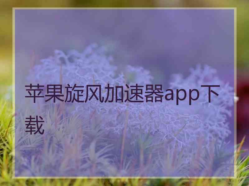 苹果旋风加速器app下载