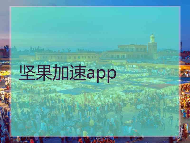 坚果加速app