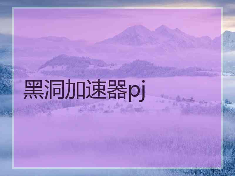 黑洞加速器pj