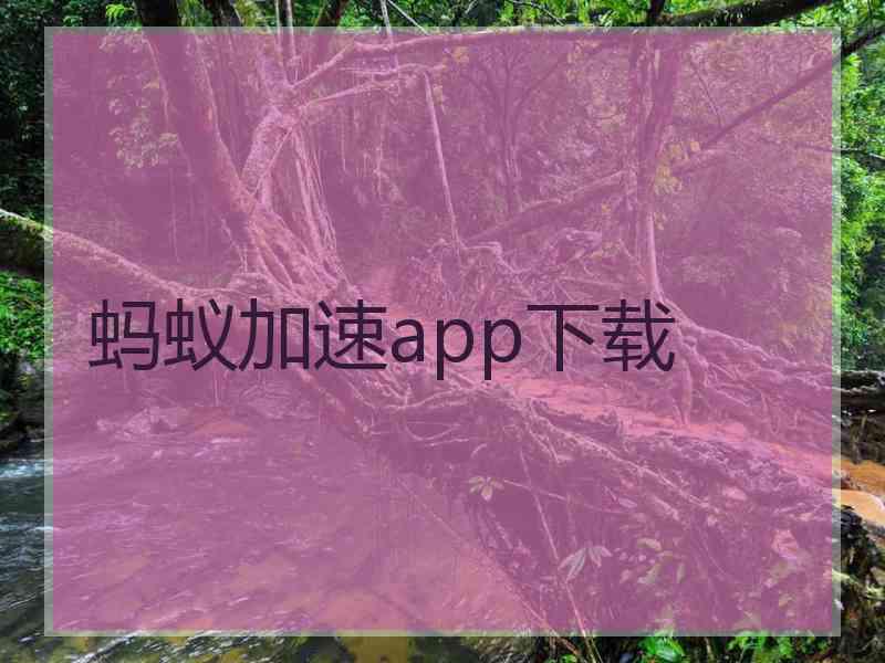 蚂蚁加速app下载