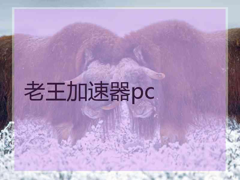 老王加速器pc