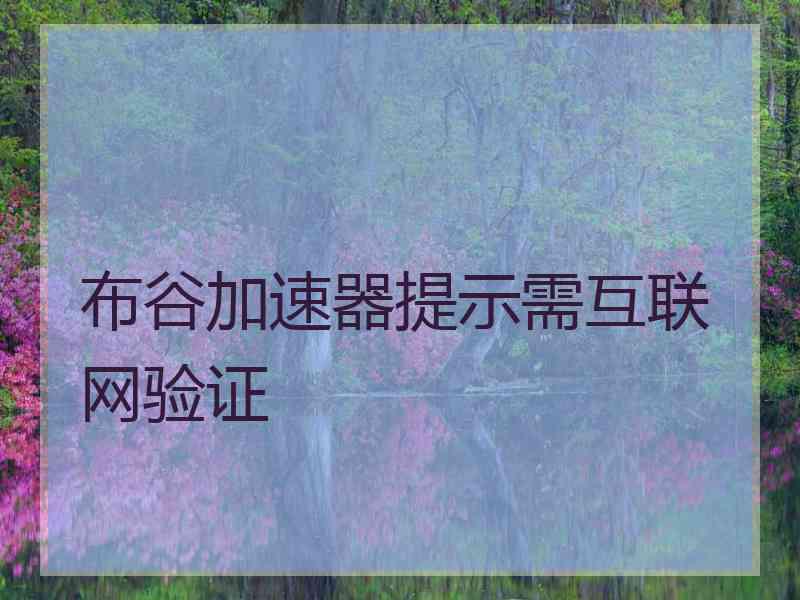 布谷加速器提示需互联网验证
