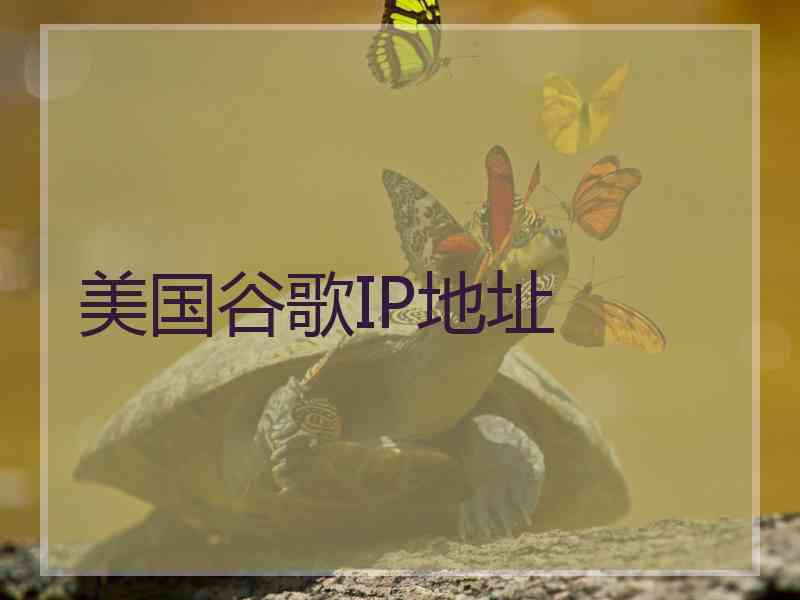 美国谷歌IP地址