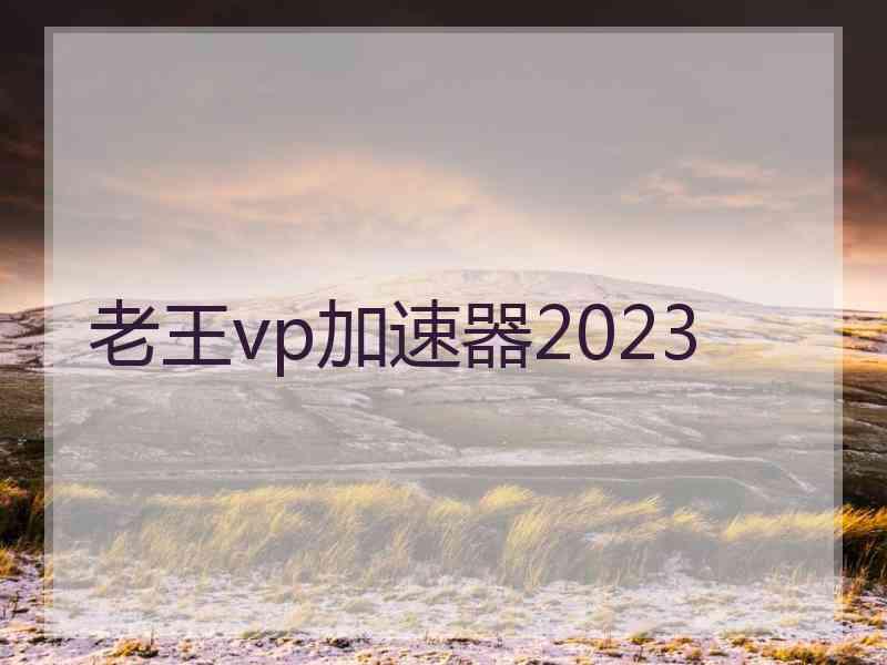 老王vp加速器2023