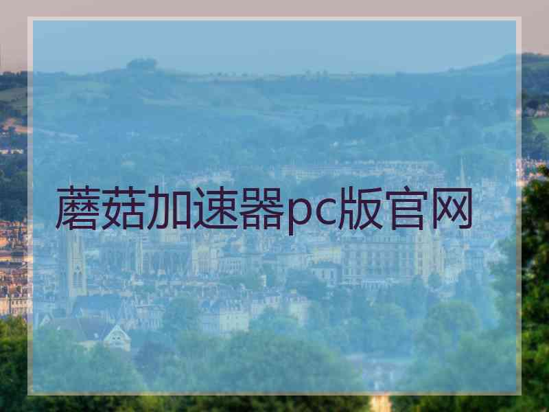 蘑菇加速器pc版官网
